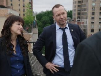 Blue Bloods Season 15: Can Fans Keep the Dream Alive for a Triumphant Return?