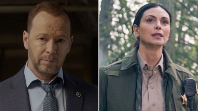 Blue_Bloods_Fire_Country_split