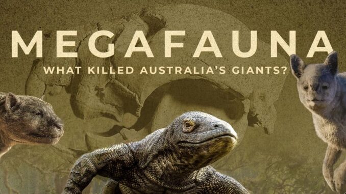 Megafauna