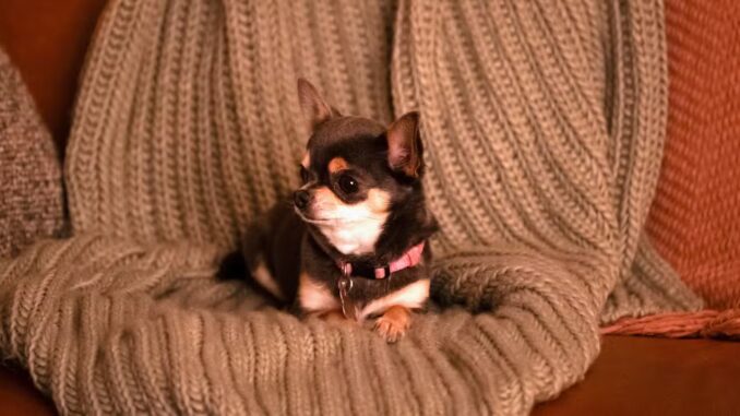 betty-in-will-trent-season-3