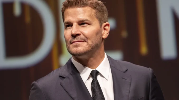 david-boreanaz