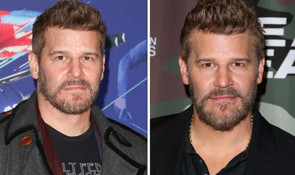 david-boreanaz-net-worth-1398739