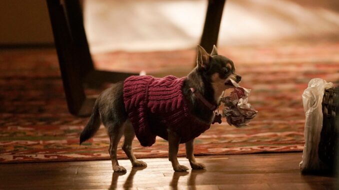 166566_0043-scaled