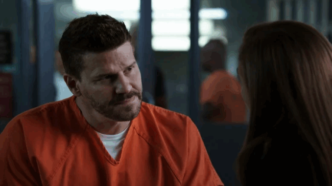 david-boreanaz-wasnt-a-big-fan-o