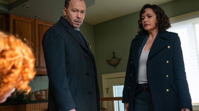 feature-Blue-Bloods-Spinoff-Wont
