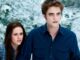 Forget Edward & Bella, This Is The Twilight Franchise's Best Couple By A Long Way