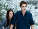 Top 10 Most Iconic Moments in The Twilight Saga