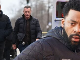 Why Chicago P.D. Continues to Captivate Fans After 12 Seasons
