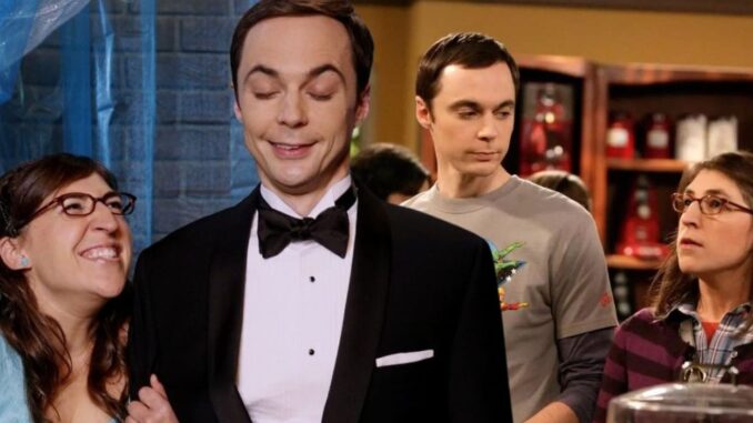 amy-sheldon-collage