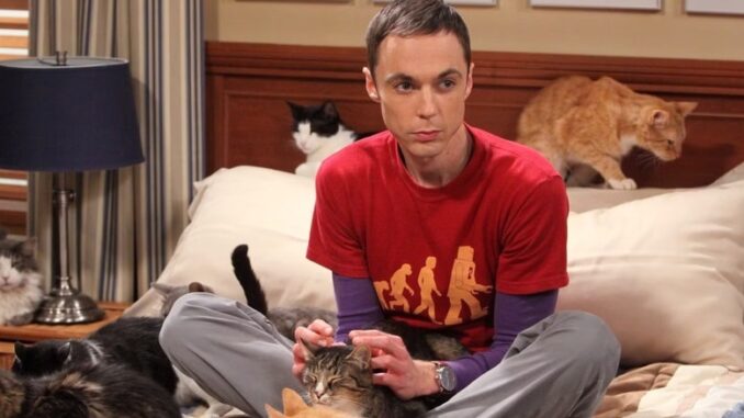 sheldon-adopting-cats-raises-que
