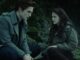 20 Behind-the-Scenes Facts From The Twilight Saga, Including Robert Pattinson's Surprising On Set Injury