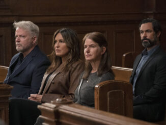 Law and Order SVU Guest Stars Who Stole The Show