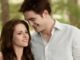 Twilight director shares fun behind scenes wedding story