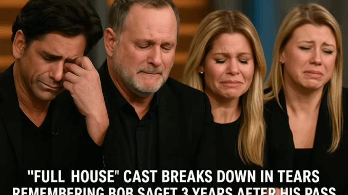 3b66a40c10ab70a481423e9f2e7ccfa3