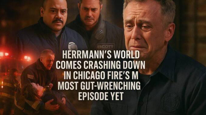 task_01k8cfy65medrvptm2npsbrjn11