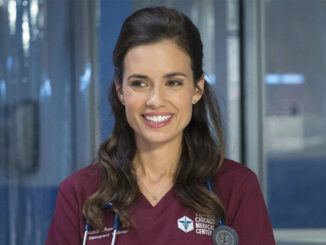 Torrey DeVitto's Most Memorable Roles on the Small Screen and in Film md07