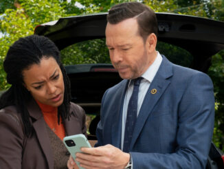 Boston blue sonequa martin green donnie wahlberg 3104511 0012bc