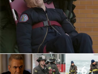 679570304 122324028812138981 5182245147556669279 n