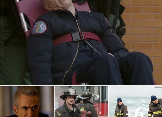 679570304 122324028812138981 5182245147556669279 n