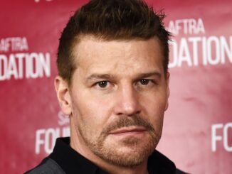 979179b3609d david boreanaz