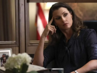 Blue Bloods Smartest Characters Erin