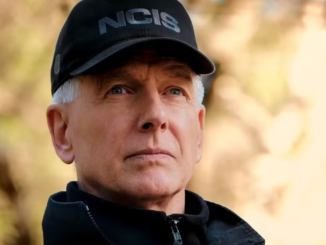 Gibbs in ncis