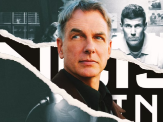 Ncis just brought gibbs back in the best way