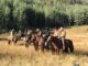 HOLLYWOOD IN MOURNING: Investigation Launched into Tragic "Yellowstone" Set Accident That Claimed Former Cast Member's Life in 2026! md02