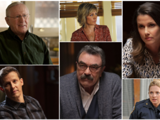 Blue Bloods Reagan Family Tree Collage.jpg