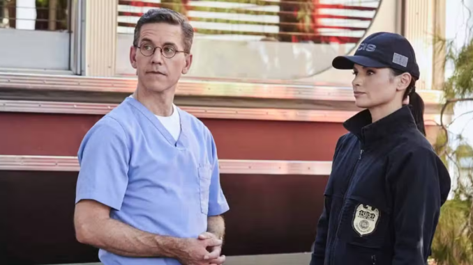 NCIS Palmer and Knight