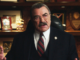 Blue bloods 48be693
