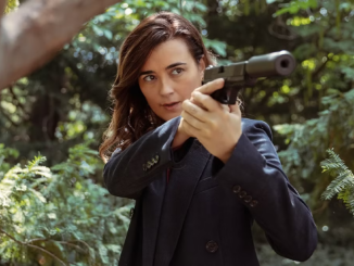 Ncis tony and ziva 101 cote de pablo