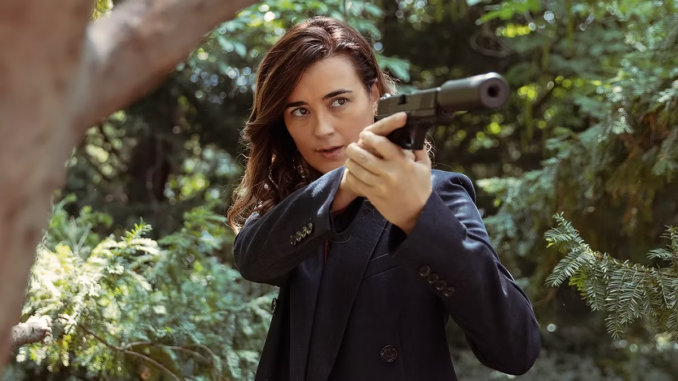 Ncis tony and ziva 101 cote de pablo