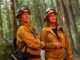 Shaw hatosy fire country